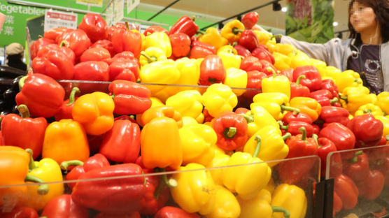 대형마트내 과일·채소 담는 ‘속비닐’ 절반 줄인다