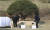문재인 대통령과 김정은 국무위원장이 27일 오후 판문점 군사분계선 평화의집 인근에서 열린 기념식수 행사에서 삽으로 흙을 퍼서 뿌리고 있다. 김상선 기자