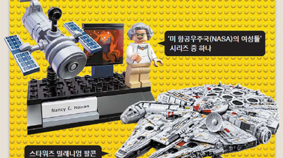 100만 성인팬이 LEGO 왕국 파수꾼