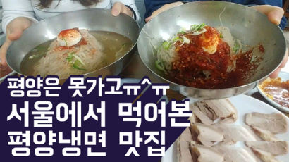평양은 못가고...서울에서 먹어본 평양냉면 맛집