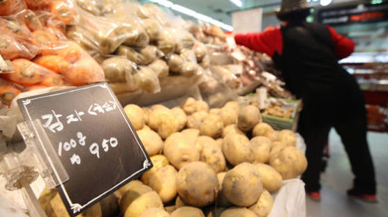 감자 값이 기가 막혀…1년 전보다 77% 폭등