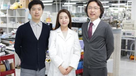 성균관대 신현정 교수 연구팀, 새 결정구조의 금 나노와이어 합성