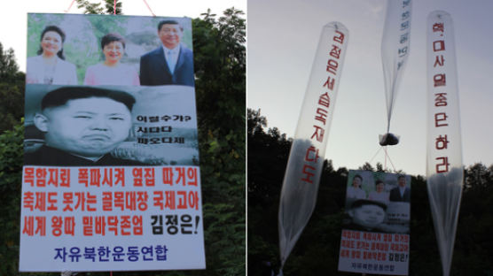정부 "대북전단 살포, 판문점 선언 위반...단호 대처"