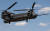특수임무여단이 사용할 침투수단으로 검토됐던 미 육군의 MH-47. [사진 미 육군]