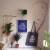 플랜트 행거, 화분, 나뭇가지, 액자, 에코백으로 장식한 벽면.