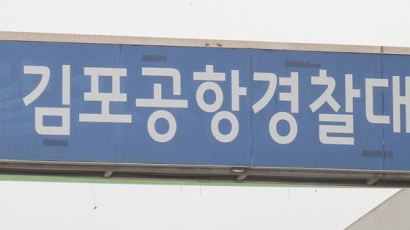 대한항공 사무장, 신분확인 공항경비원 폭행…경찰 입건