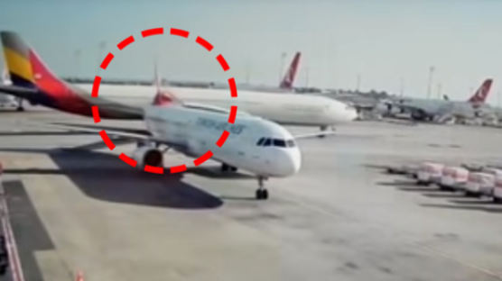 아시아나 여객기, 활주로 이동 중 비행기 충돌…현장 영상 보니