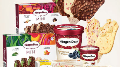 하겐다즈 아이스크림, 현대홈쇼핑 단독 특별 판매
