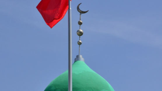 아랍식 양파 돔 없애고 목조 사원으로…중국의 이슬람 지우기