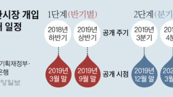 외환개입, 매수·매도 차액만 공개