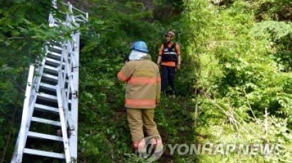 대전~당진 고속도로서 추락한 근로자, 전원 사망