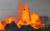  19일(현지시간) 미국 하와이 킬라우에아 화산에서 분출된 용암이 솓구치는 카포호 지역의 전기줄에 새 한마리가 앉아 있다. [AFP=연합뉴스]