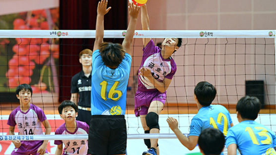 한국배구연맹, 7월 홍천에서 유소년 클럽 대회 개최