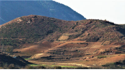 녹색연합 "DMZ 인근 북한쪽 산지에 숲과 나무가 사라졌다"