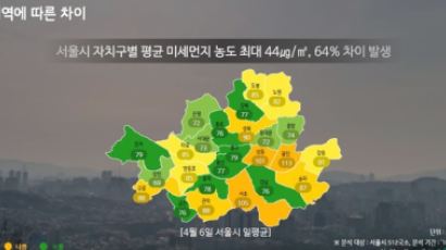 미세먼지 반전···노원·도봉 주택가보다 강남·종로 '양호'