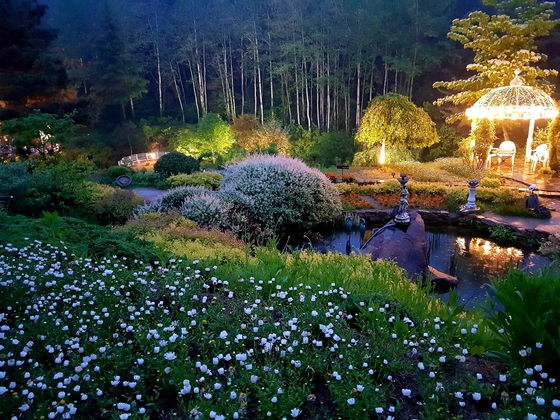 시크릿가든은 야경도 근사하다. 화려한 꽃밭 뒤편에 하얀 수피 입은 은사시나무가 보인다. [사진 각 정원]