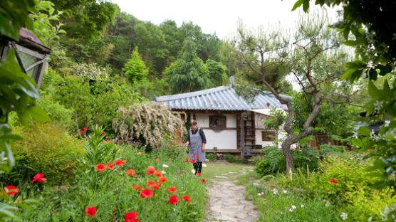 [week&] 사람 향기도 은은 … 봄날의 정원을 걸어볼까요