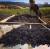 나파의 와인 메이커 세실 박이 포도밭에서 수확해 와이너리에 도착한 포도를 살펴보고 있다. [사진 와인포니아] 