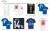 FIFA 러시아월드컵 유니폼 판매 웹사이트에 게재된 욱일기 티셔츠. [사진 서경덕 교수팀]