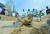  29일 부산 해운대 해수욕장 백사장에서 바다거북이가 일광욕을 즐기고 있다. 송봉근 기자