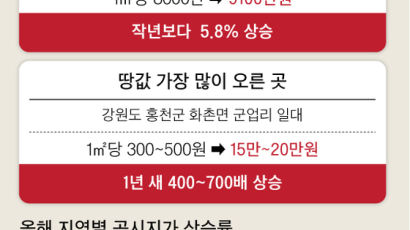 홍천휴게소 땅값 1년 새 700배