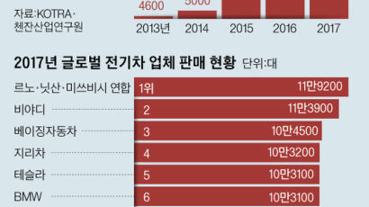 중국 전기차 시장 ‘굴기’에 중국서 자취 감춘 한국산, 국내 시장 호시탐탐 노리는 중국산