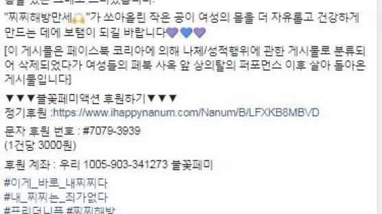 댓글만 1만개…性전쟁터로 변한 ‘불꽃페미액션’ 페이스북 