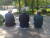  지난 1일 서울 종로 탑골공원에 앉아있는 노인들은 미세먼지에 둔감했다. 김지아 기자