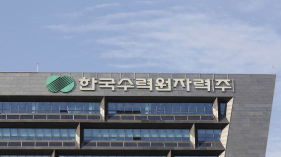 한수원, 대북 사업 전담팀 꾸려…北 경협 준비 중인 공공기관들