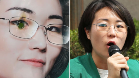 ‘페미니스트 서울시장 후보’ 신지예 벽보 유난히 훼손 많은 이유