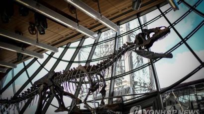 경매서 25억원에 낙찰된 거대 육식 공룡 화석