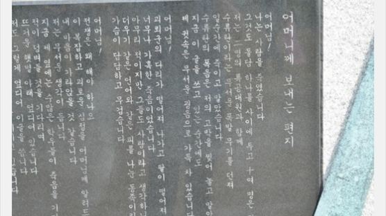 [김민석의 Mr. 밀리터리] 포항여중 전투 학도병들, 그들의 전쟁은 끝나지 않았다