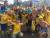 10일 스웨덴과 페루의 평가전이 열린 스웨덴 예테보리의 울레비 스타디움에서 스웨덴 어린팬들이 응원가를 부르고 있다. 예테보리=박린 기자