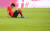 한국축구대표팀 에이스 손흥민이 1일 전주월드컵경기장에서 열린 보스니아 헤르체고비나와 평가전에서 완패를 당한 뒤 그라운드에 주저앉아 아쉬워하고 있다. 전주=임현동 기자