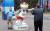 11일 러시아 상트페테르부르크 경기장 주변에서 관광객들이 2018 러시아월드컵 마스코트 모형 옆에서 기념 촬영을 하고 있다. [연합뉴스]