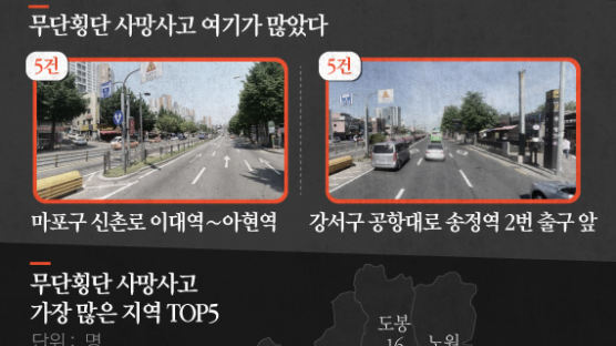 [ONE SHOT] 서울 무단횡단 사망사고 분석하니…최다 발생 지역은 여기