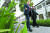 김정은 북한 국무위원장과 도널드 트럼프 미국 대통령이 12일 업무오찬 후 통역 없이 싱가포르 센토사 섬 카펠라 호텔에서 산책하고 있다. [AFP=연합뉴스]