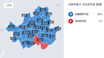서울도 민주당 싹쓸이…한국당이 유일하게 자리지킨 곳은