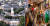 하버드대 전경(왼쪽)과 지난 달 스타벅스의 인종차별 행위에 항의하는 시위대 [구글, AP=연합뉴스]