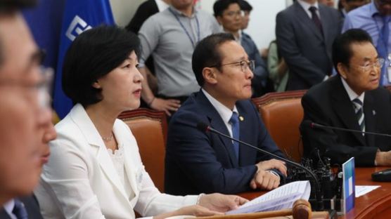 ‘연정론’ 군불 떼는 평화당에 “가능성 0%” 쐐기 박은 추미애