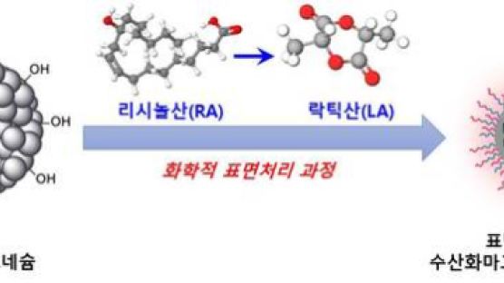  수술용 실ㆍ스텐트…생분해성 이식물 염증 크게 줄이는 기술 나왔다