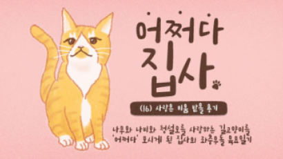 [어쩌다 집사] #16. 몸에 좋은 집사는 쓰다…전할 수 없는 마음들