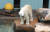 국내 마지막 남은 북극곰 &#39;통키&#39;가 21일 사육장 바위에 서 있다. 통키는 친구들이 있는 영국 요크셔 야생공원으로 오는 11월 영구이주한다. 최승식 기자