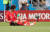 23일 러시아 로스토프나노두 로스토프아레나에서 열린 2018 러시아 월드컵 F조 조별리그 2차전 대한민국과 멕시코의 경기. 1-2로 패한 한국의 기성용이 아쉬워하며 그라운드에 앉아 있다. [연합뉴스]