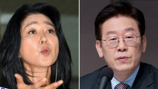 이재명측 "김부선 아무 사이 아니다···허위사실 고발"