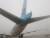 26일 오전 8시께 김포공항 주기장에서 이륙 전 탑승 게이트로 이동하던 아시아나항공 OZ3355편의 날개와 대한항공 KE2725편의 후미 꼬리 부분이 부딪히는 접촉사고가 발생했다. [사진=독자]