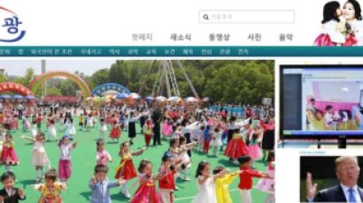 北 선전사이트 "CVID 짖어대는 매국노들"…종북 매체 글 인용