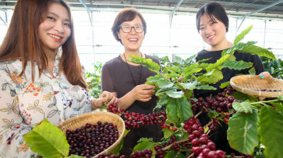 [굿모닝 내셔널]‘천년 죽향(竹鄕)’도 반한 아프리카의 향기…대나무밭에 둥지 튼 ‘담양 커피농장’ 가보니