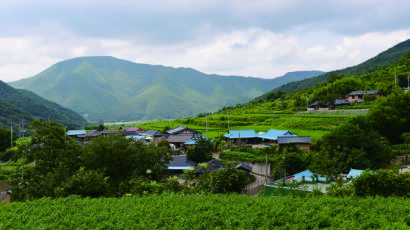 [굿모닝 내셔널] 포항 탑정, 울진 쌍전리 … 청정자연 산골서 힐링피서 어때요