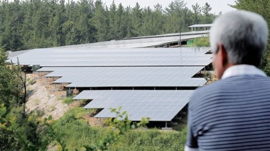 [월간중앙 현장취재] 농촌 태양광사업은 장밋빛인가? 